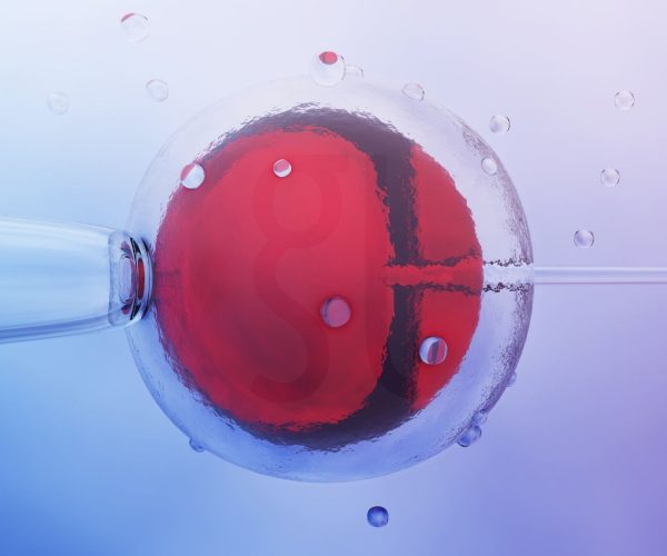 Τι είναι η IVF Ένας πλήρης οδηγός για την εξωσωματική γονιμοποίηση